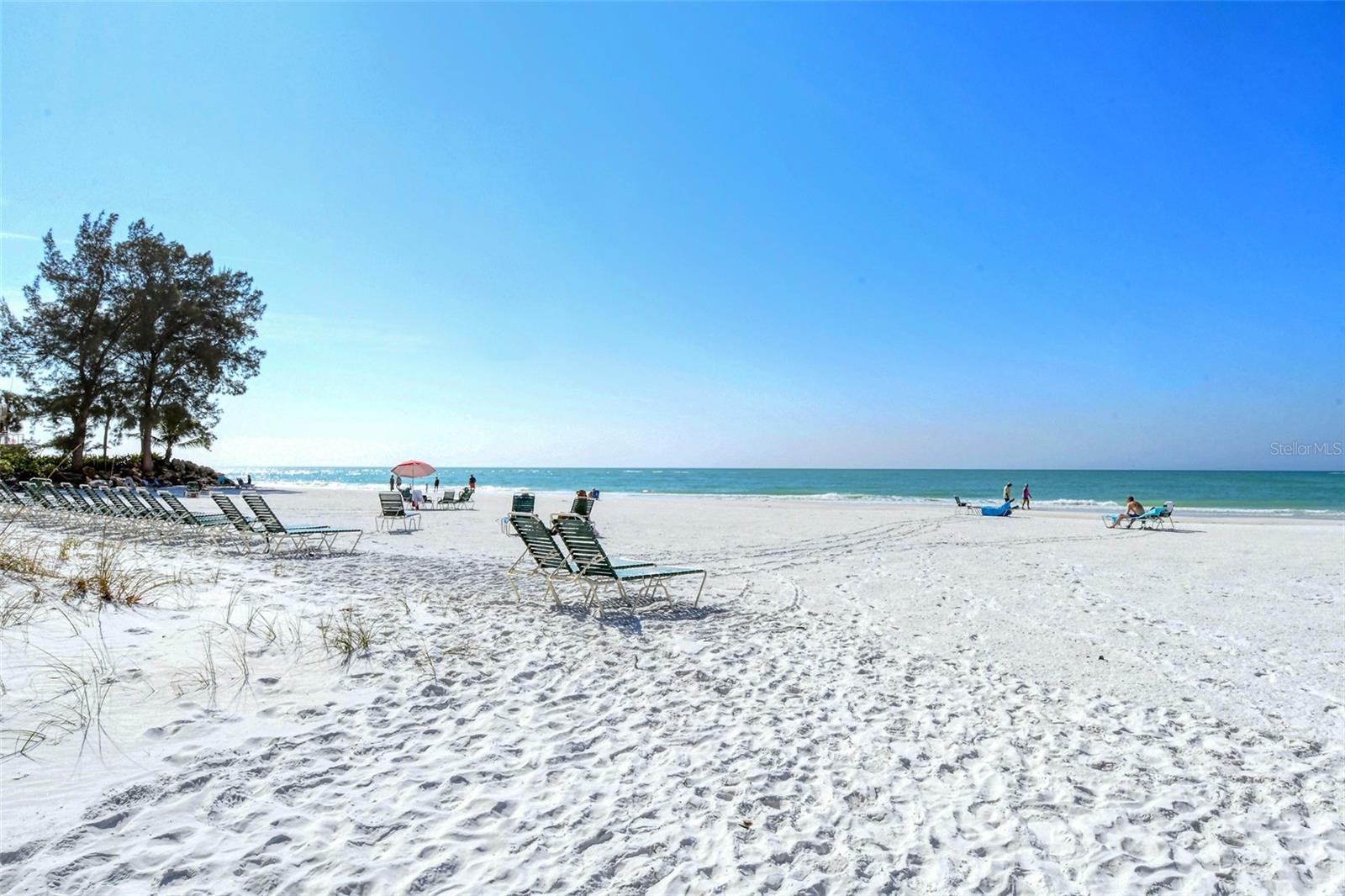 101 WHISPERING SANDS DR #107, SARASOTA, FL — photo 50