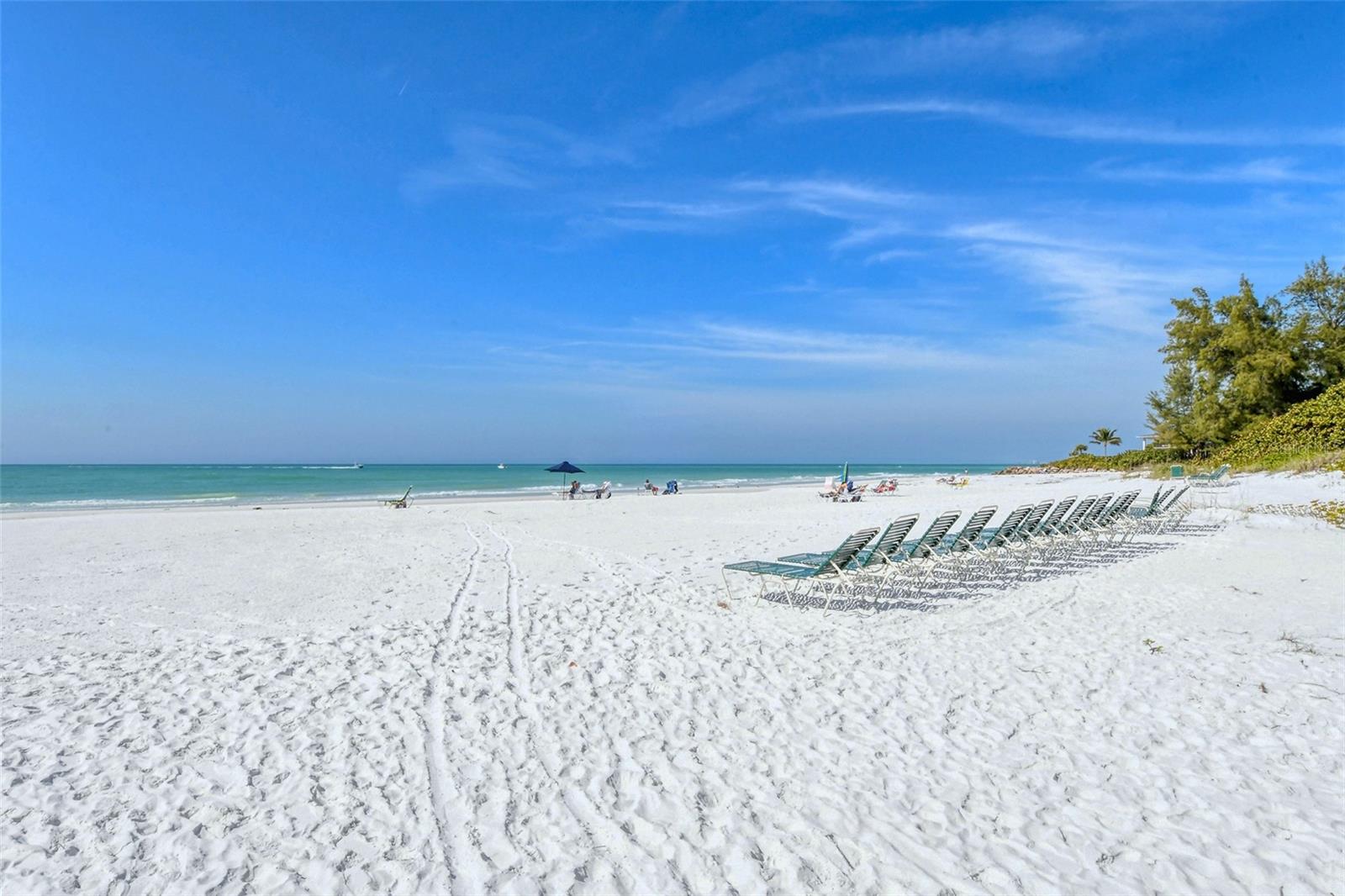 101 WHISPERING SANDS DR #107, SARASOTA, FL — photo 51