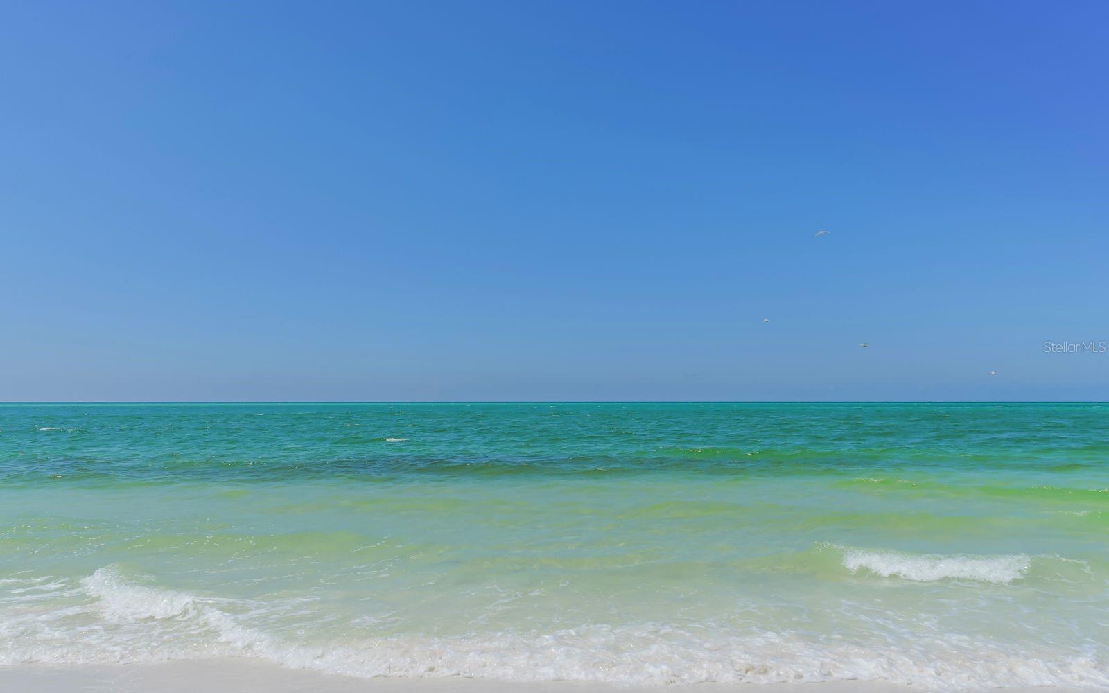 101 WHISPERING SANDS DR #107, SARASOTA, FL — photo 53