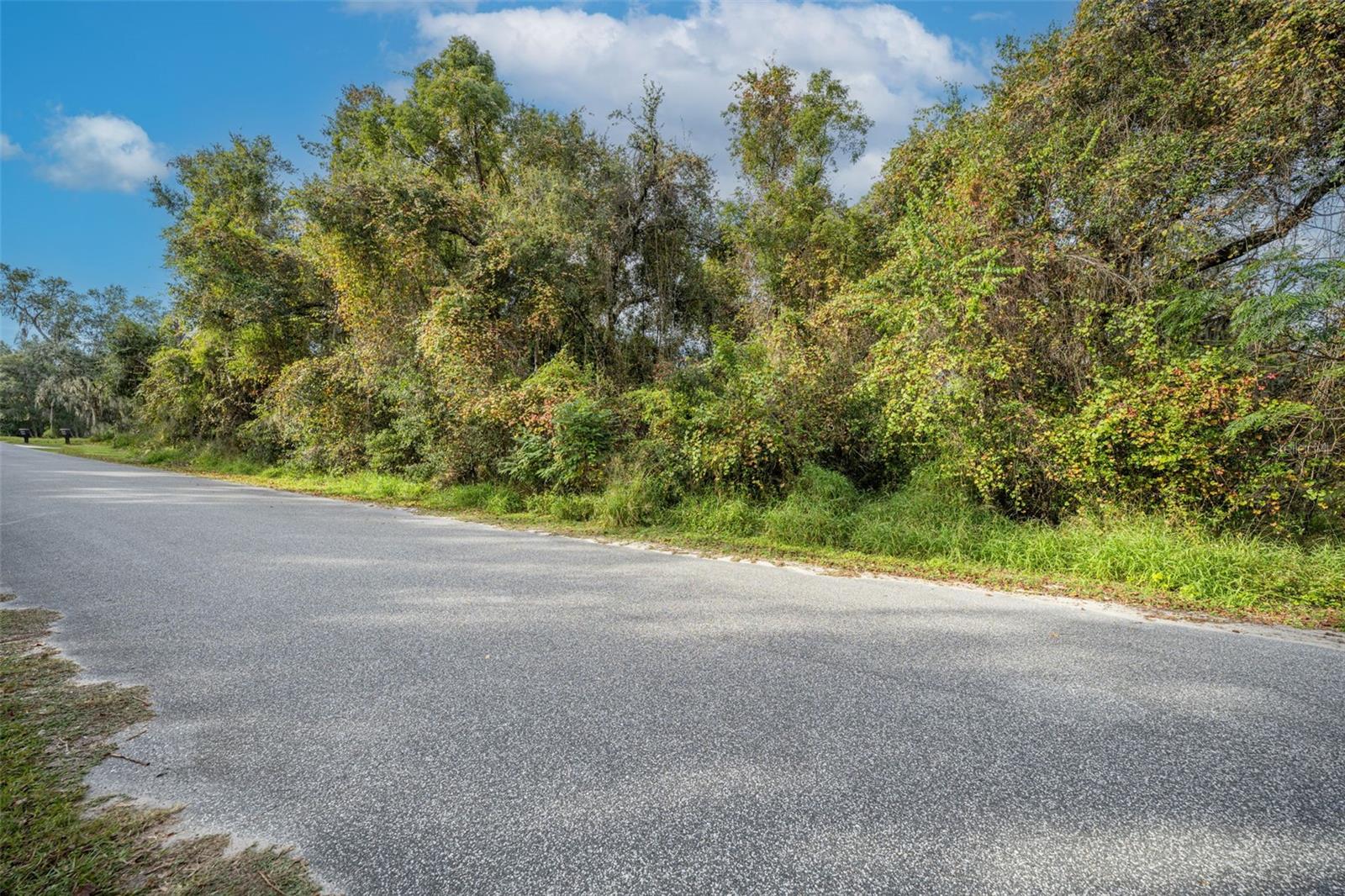 ROYAL OAK RD, FRUITLAND PARK, FL — photo 4