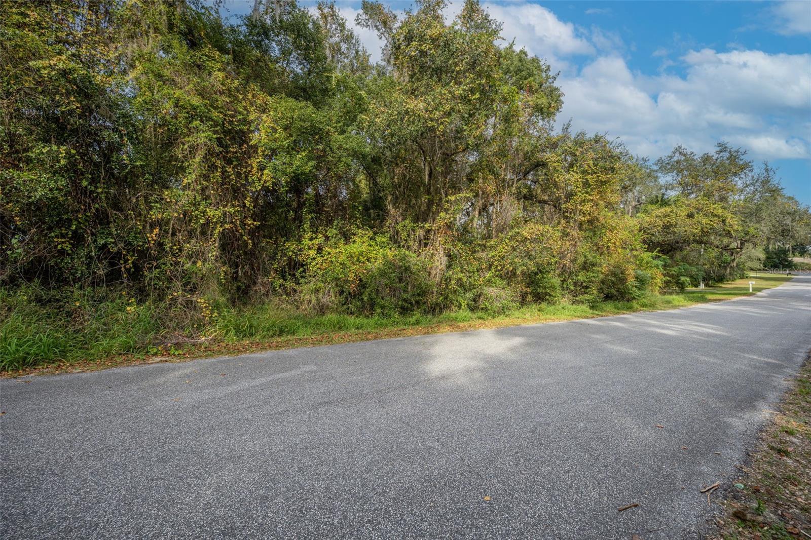 ROYAL OAK RD, FRUITLAND PARK, FL — photo 8