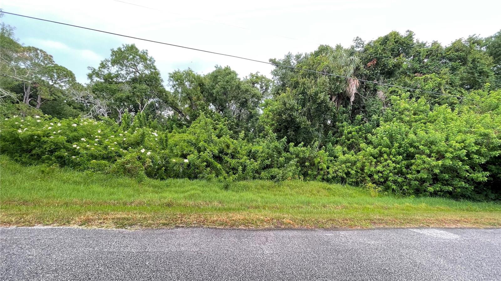 9461 W NORFOLK ST, TAMPA, FL — photo 3