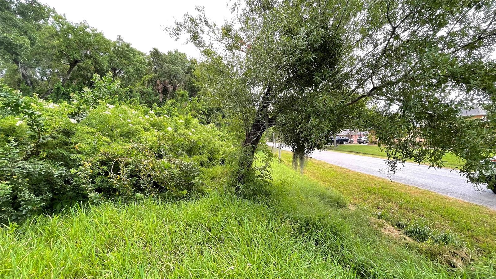 9461 W NORFOLK ST, TAMPA, FL — photo 10