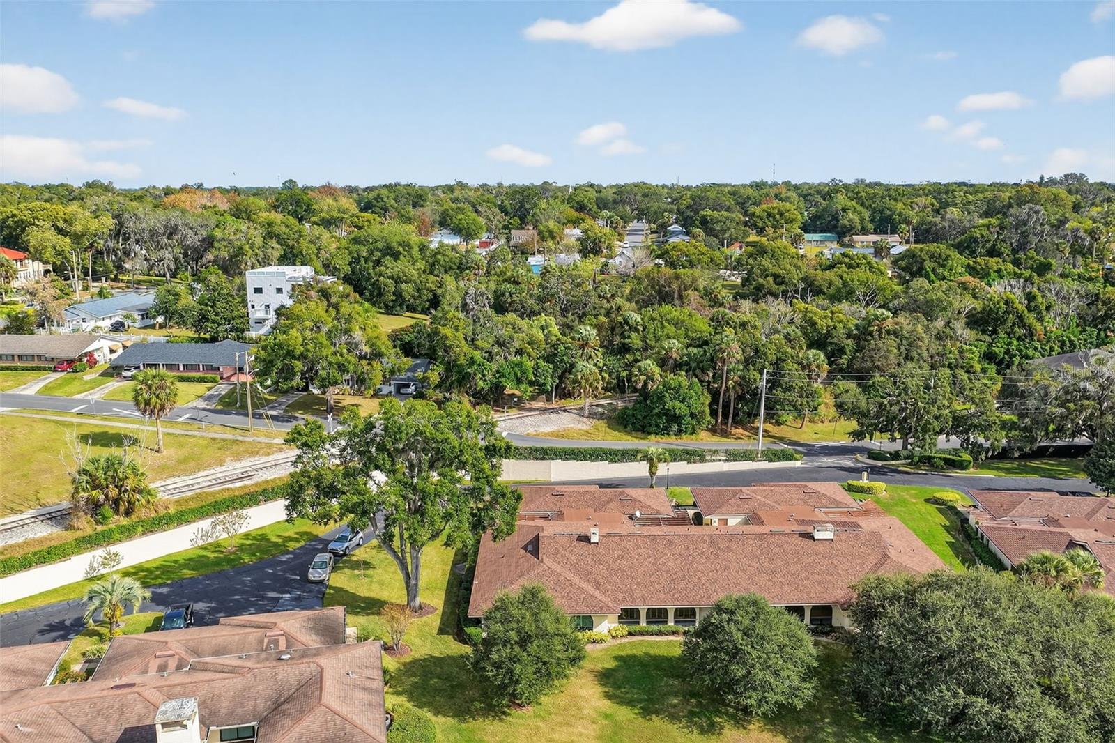 100 S TREMAIN ST #F1, MOUNT DORA, FL — photo 80
