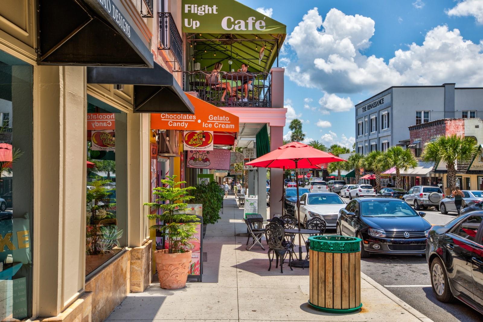 100 S TREMAIN ST #F1, MOUNT DORA, FL — photo 98