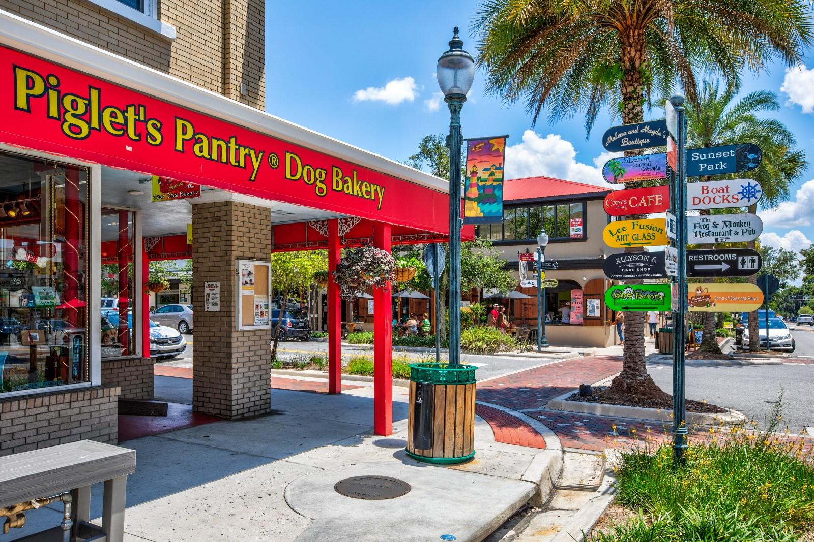 100 S TREMAIN ST #F1, MOUNT DORA, FL — photo 100