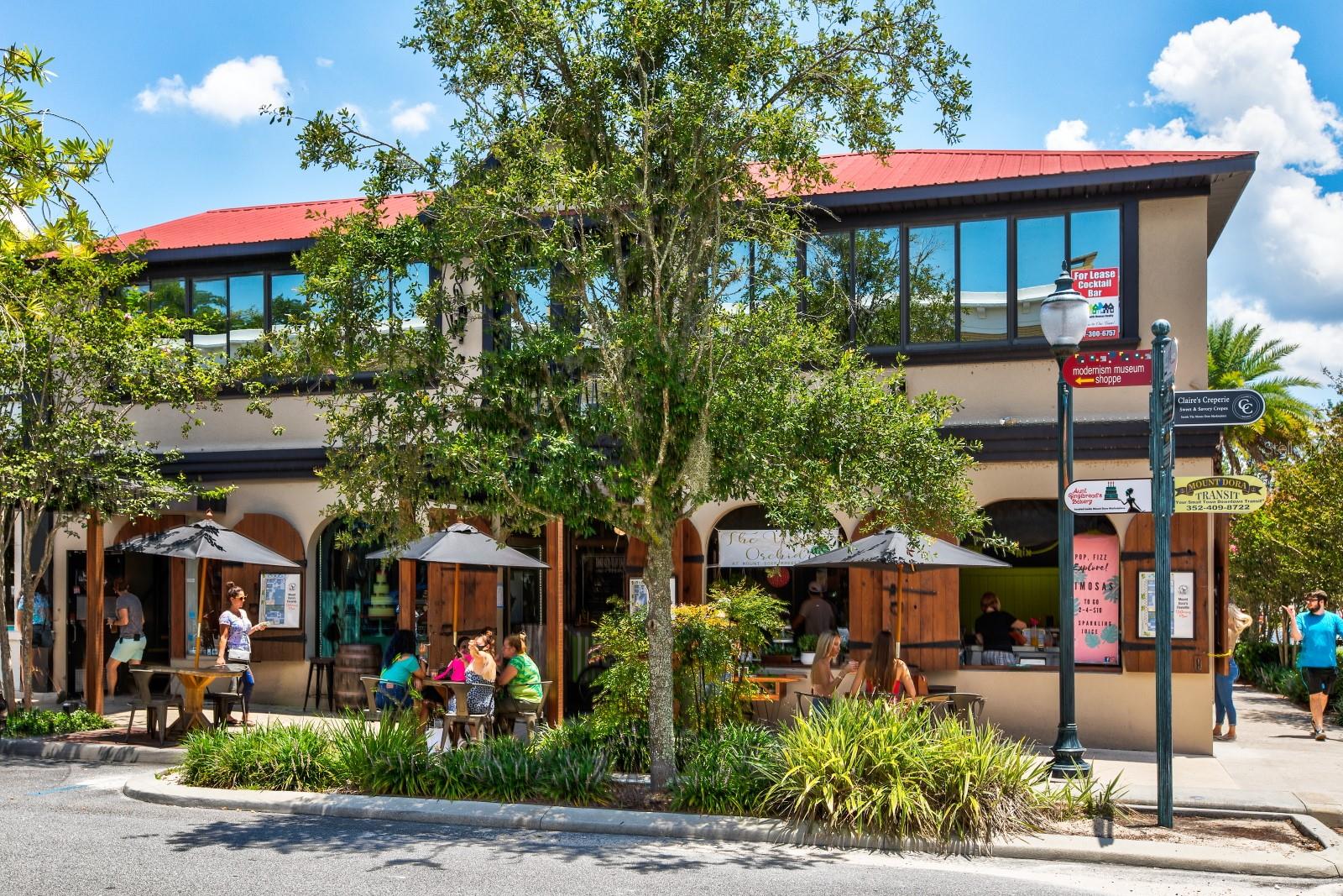 100 S TREMAIN ST #F1, MOUNT DORA, FL — photo 102