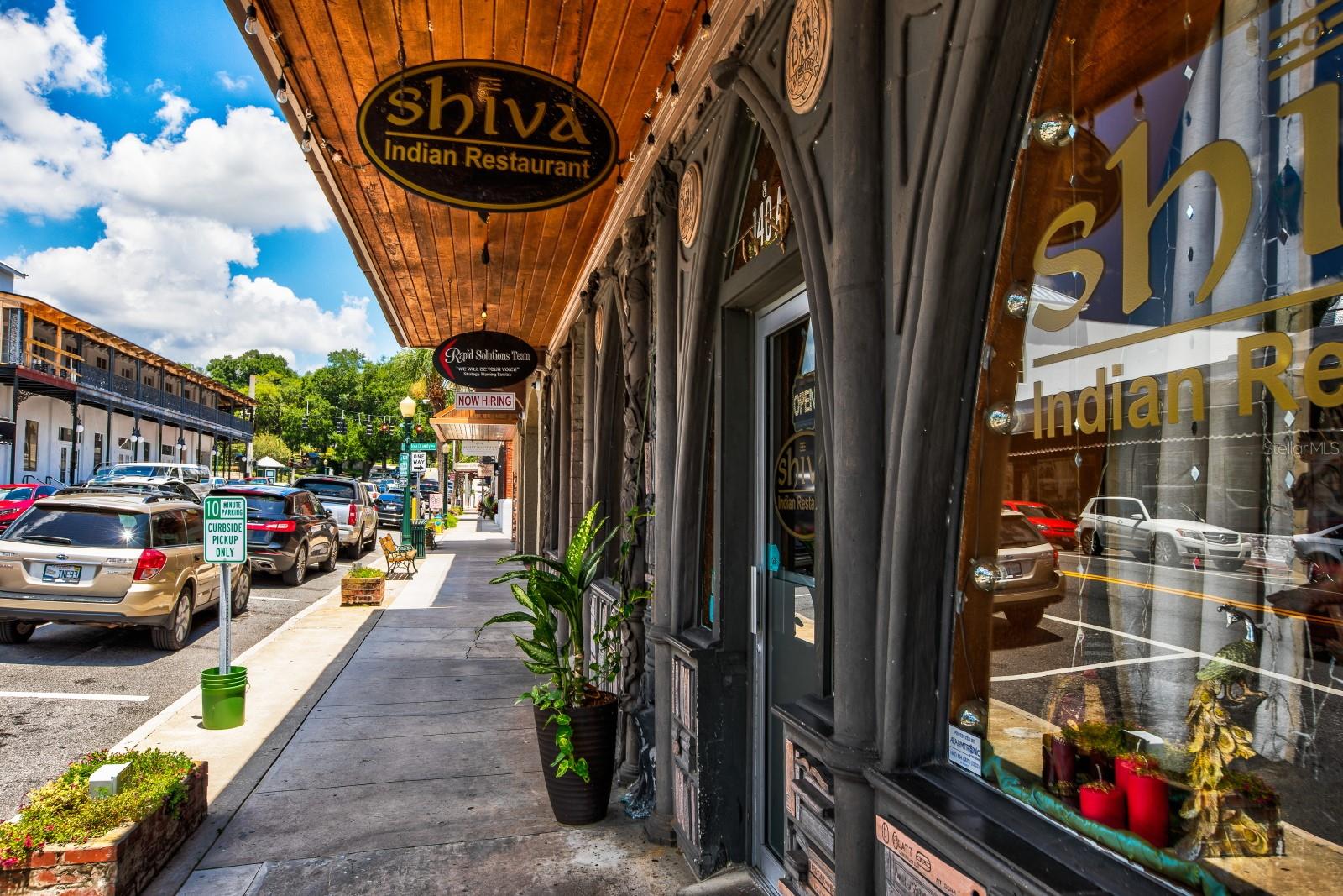 100 S TREMAIN ST #F1, MOUNT DORA, FL — photo 106