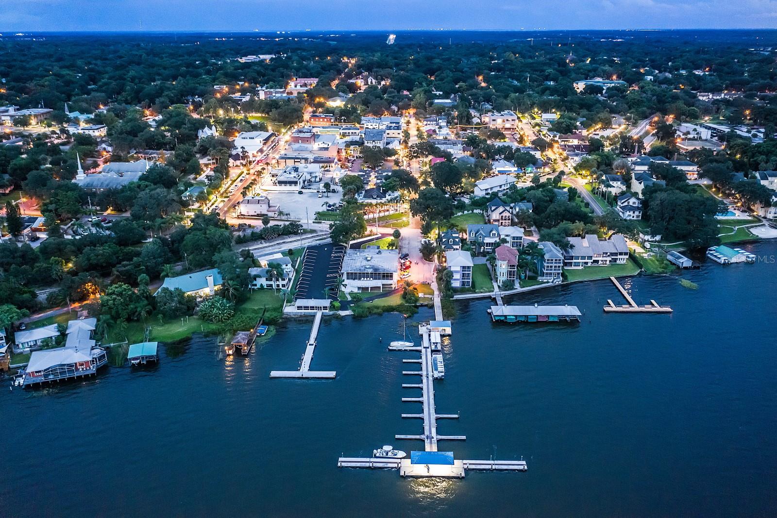 100 S TREMAIN ST #F1, MOUNT DORA, FL — photo 108