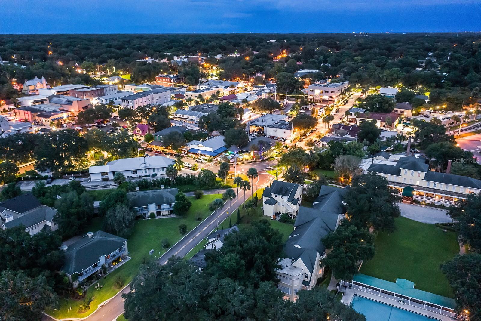 100 S TREMAIN ST #F1, MOUNT DORA, FL — photo 109