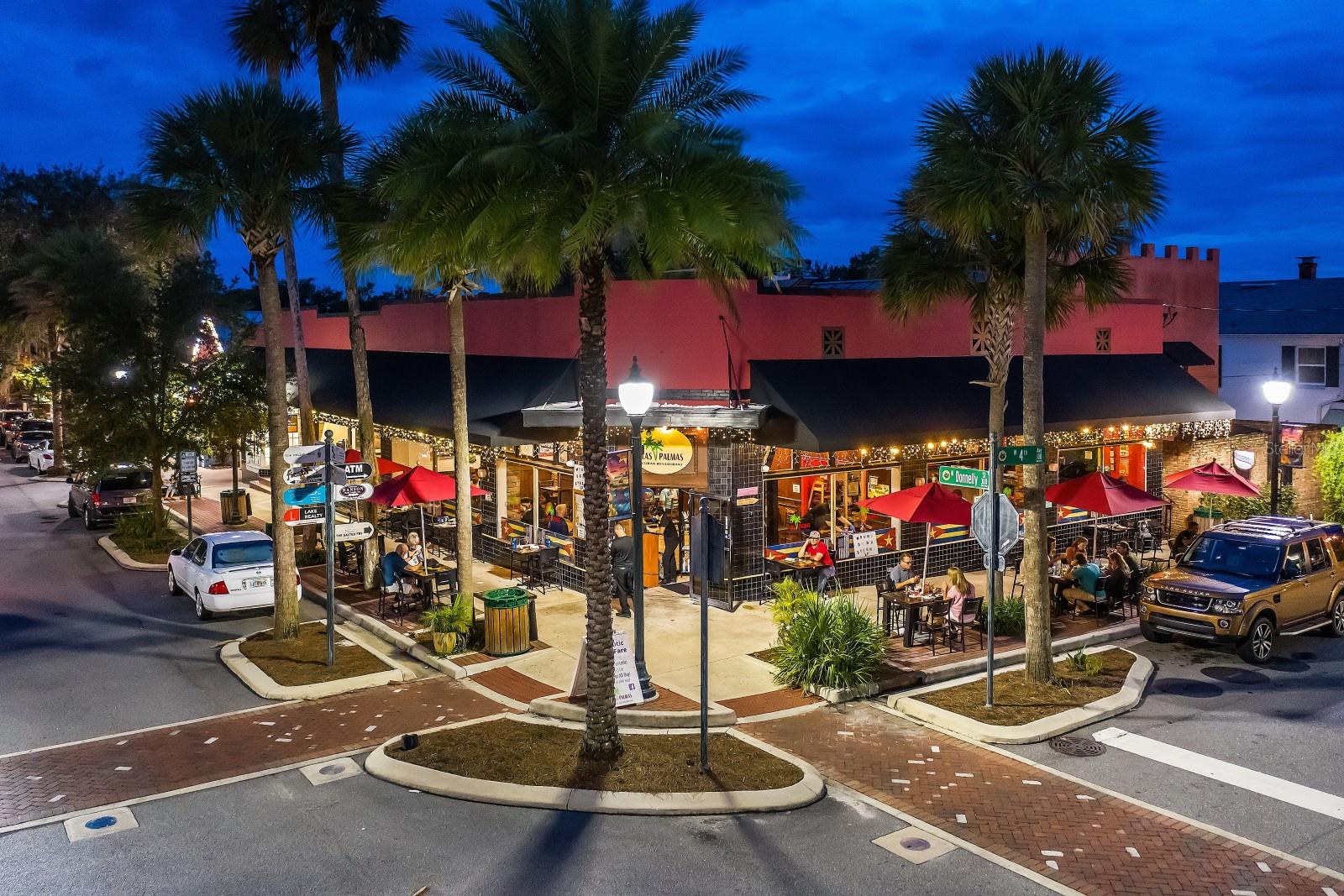 100 S TREMAIN ST #F1, MOUNT DORA, FL — photo 112