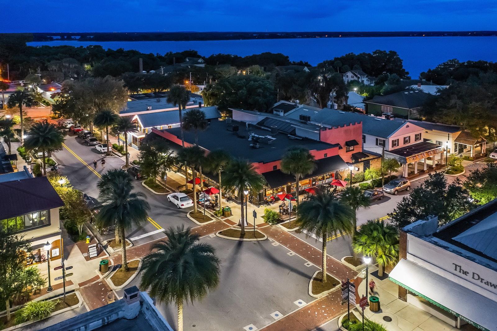 100 S TREMAIN ST #F1, MOUNT DORA, FL — photo 113
