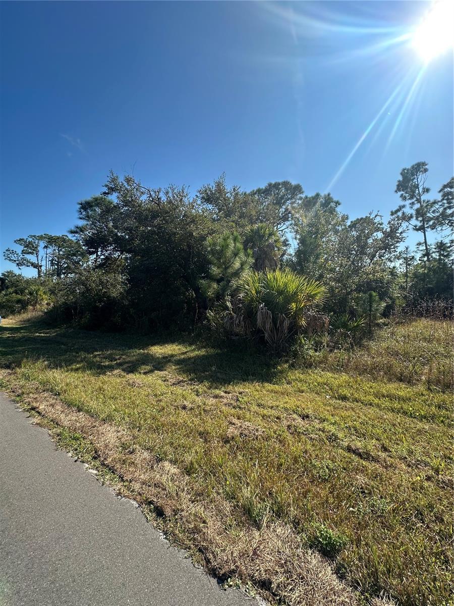 10405 ROCKFORD AVE, ENGLEWOOD, FL — photo 4
