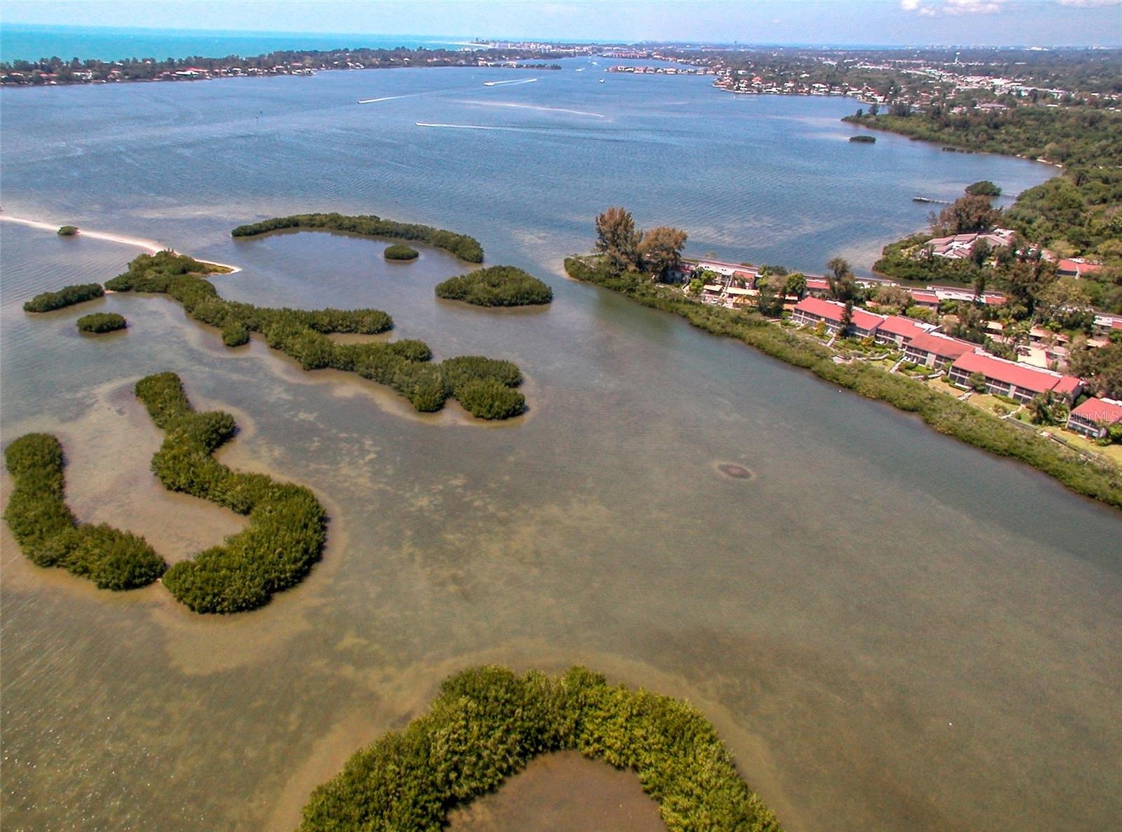 1720 GLENHOUSE DR #GL430, SARASOTA, FL — photo 49