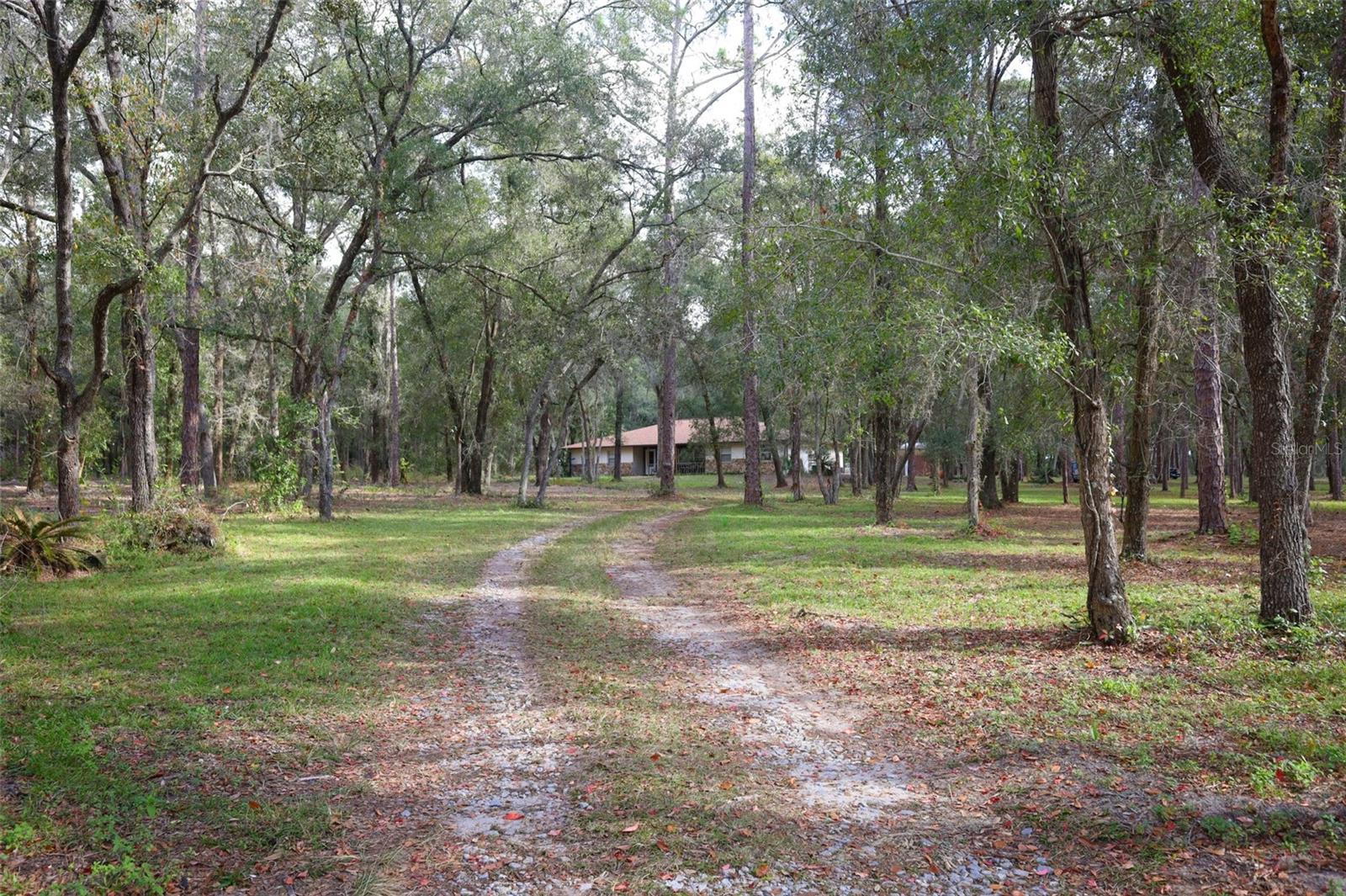 ROLLING ARES RD W, LADY LAKE, FL — photo 4