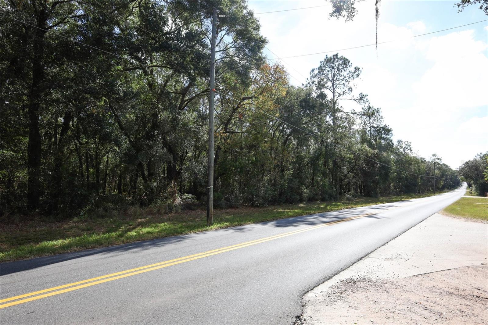 ROLLING ARES RD W, LADY LAKE, FL — photo 14