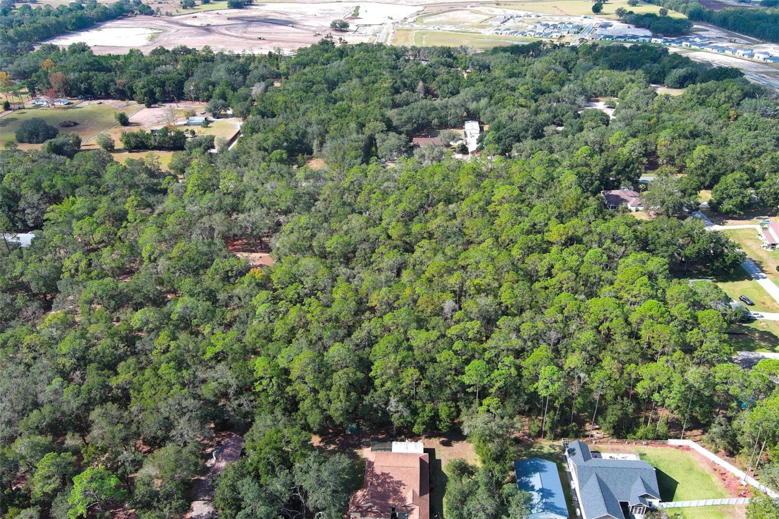 ROLLING ARES RD W, LADY LAKE, FL — photo 47