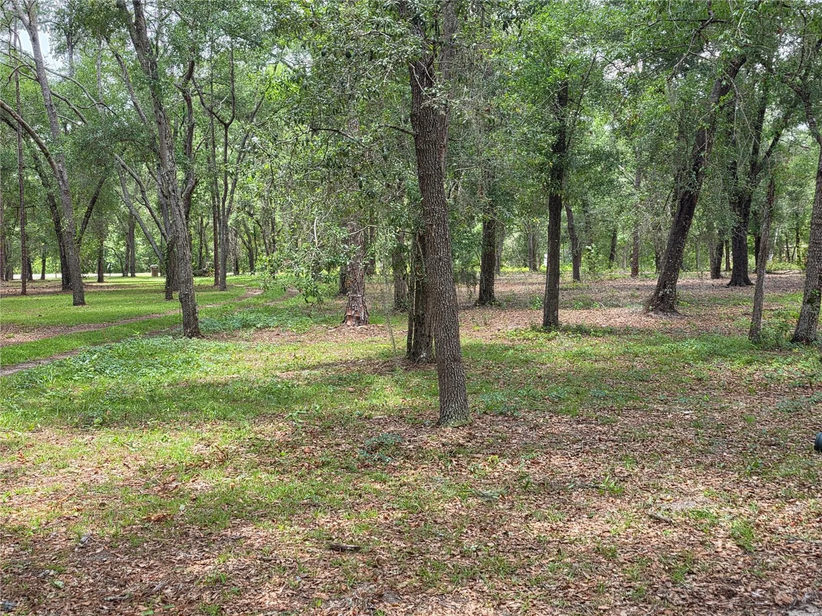 ROLLING ARES RD W, LADY LAKE, FL — photo 58