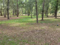 ROLLING ARES RD W — photo 60