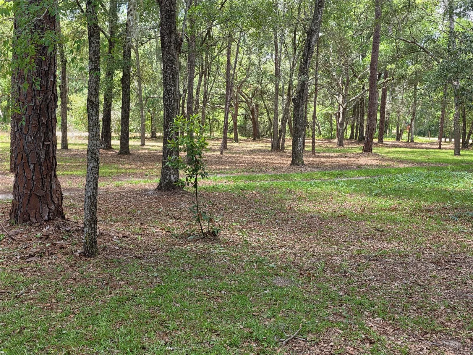 ROLLING ARES RD W, LADY LAKE, FL — photo 62
