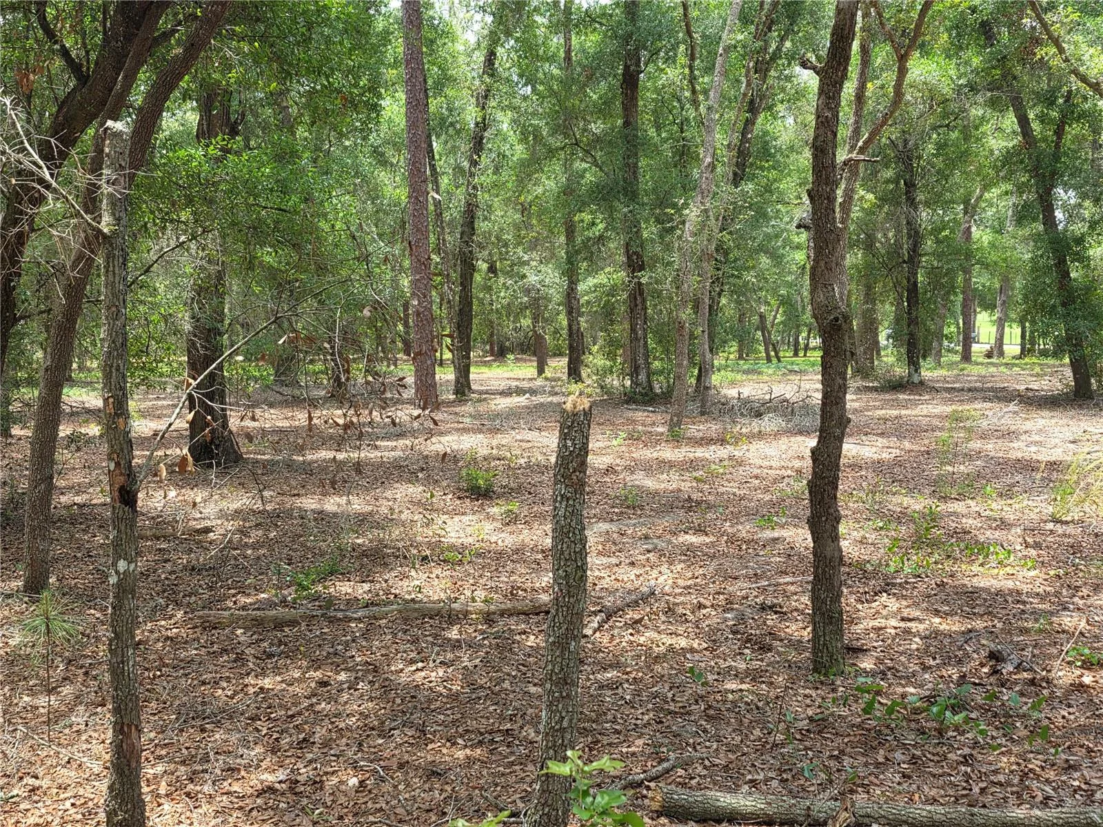 ROLLING ARES RD W, LADY LAKE, FL — photo 64