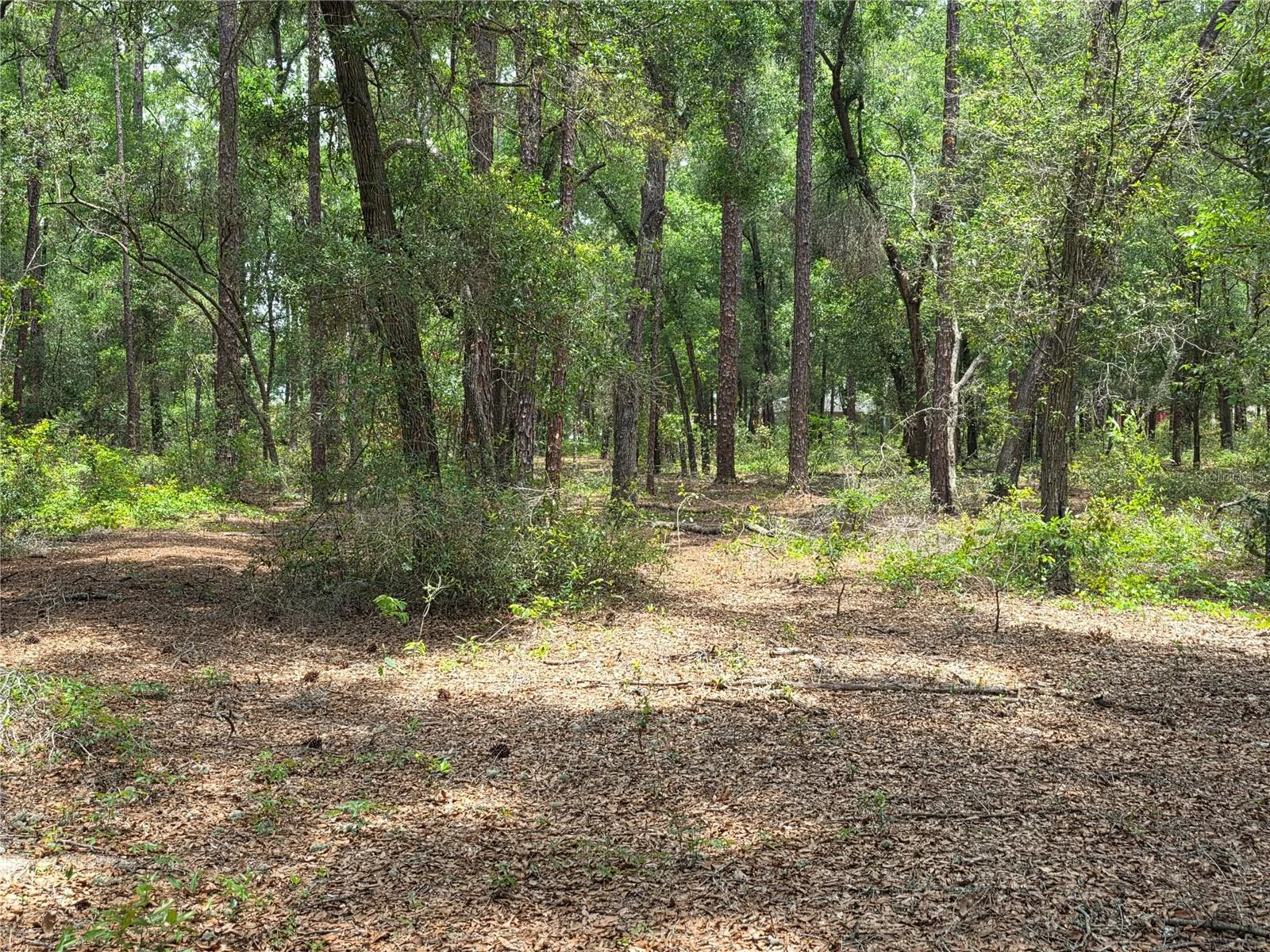 ROLLING ARES RD W, LADY LAKE, FL — photo 68