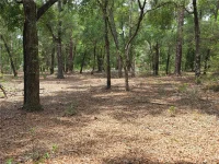 ROLLING ARES RD W — photo 71