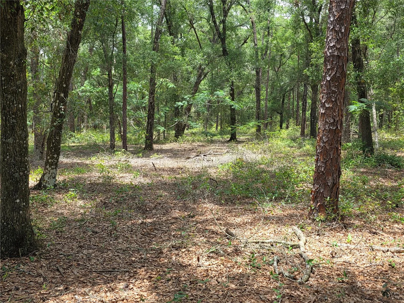 ROLLING ARES RD W, LADY LAKE, FL — photo 85