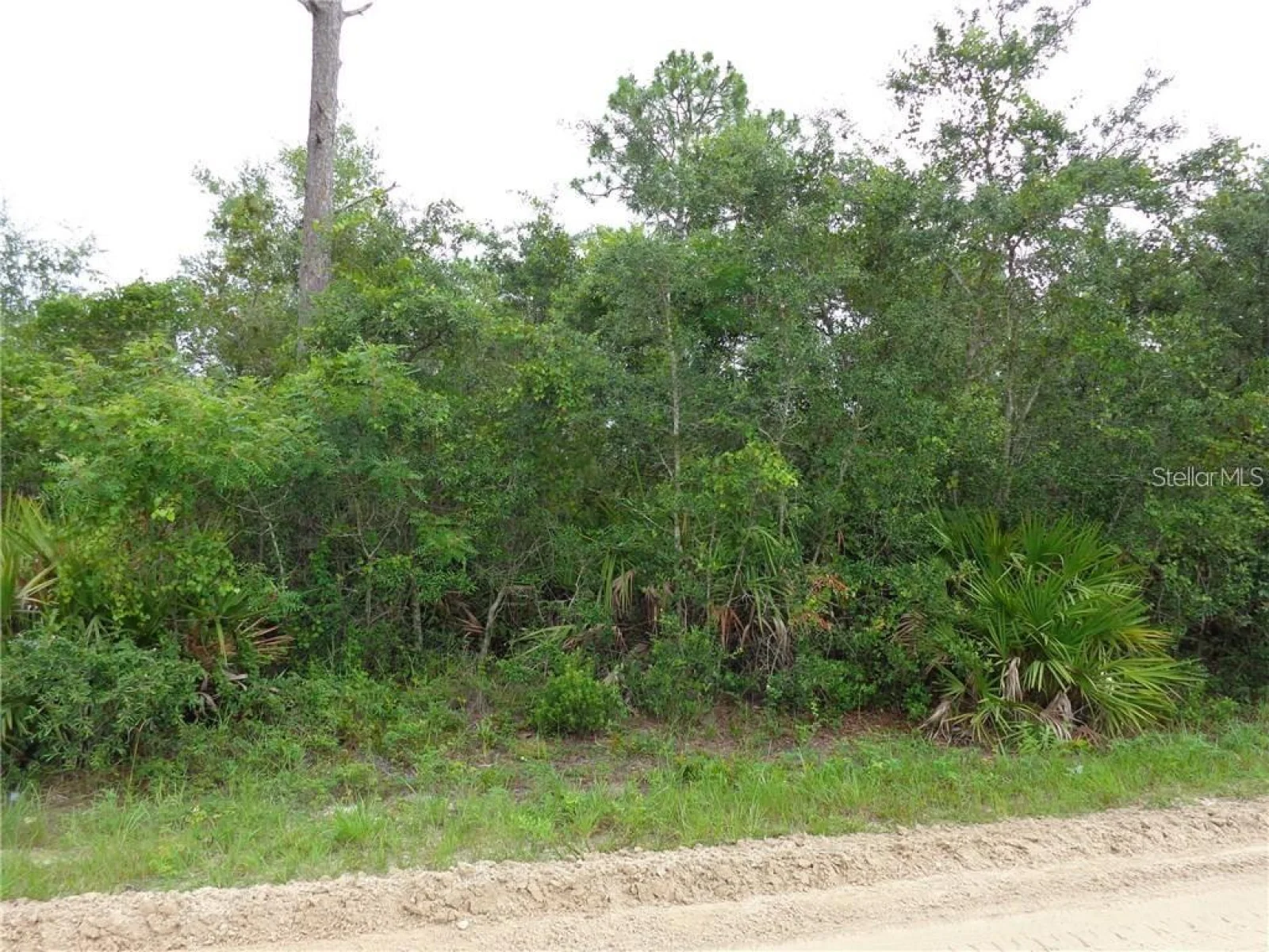 9TH AVE, DELAND, FL — photo 2