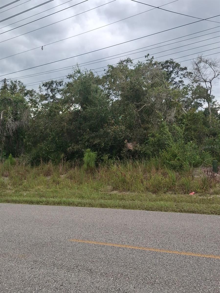 9TH AVE, DELAND, FL — photo 3