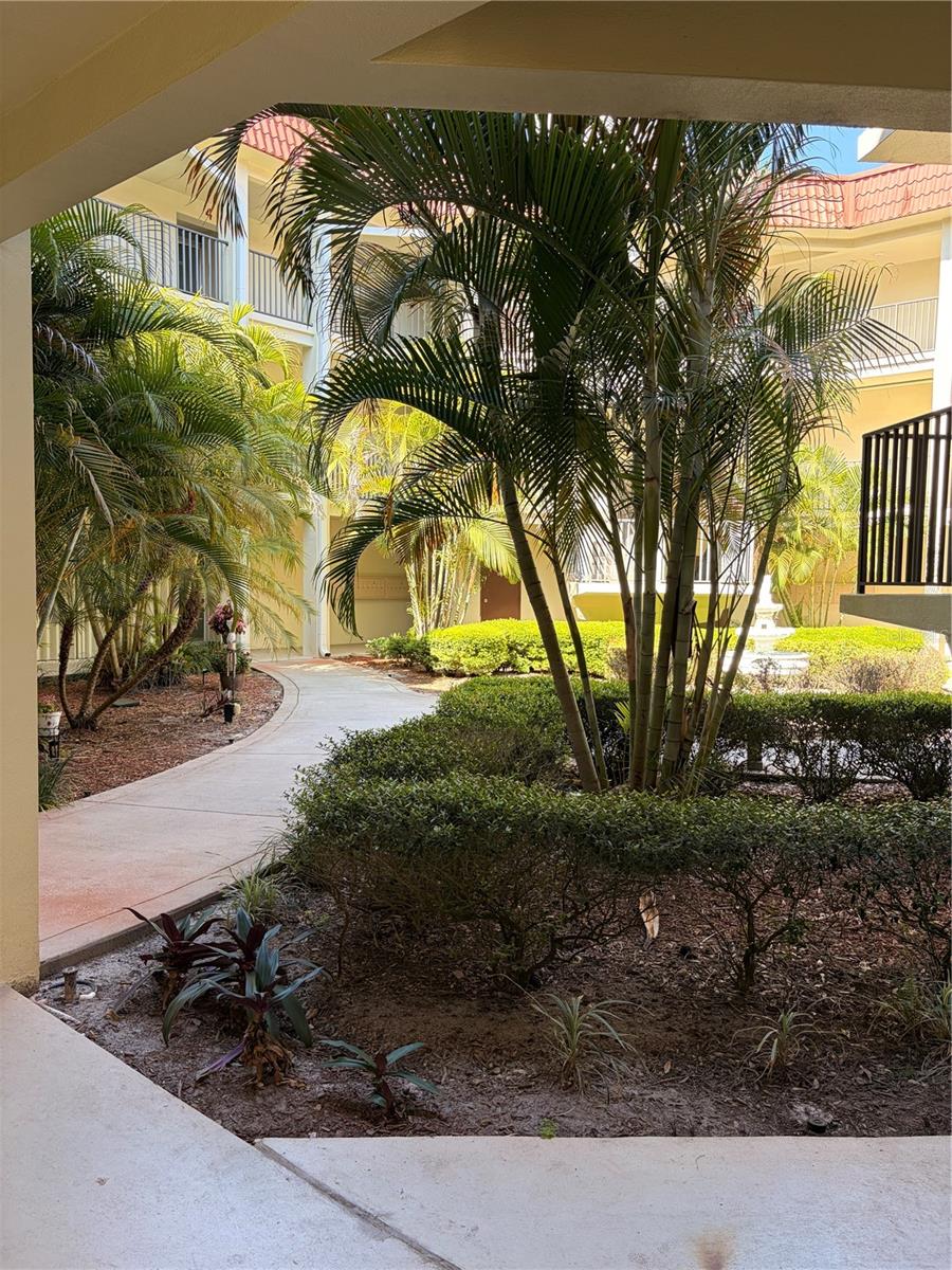 2700 BAYSHORE BLVD #2105, DUNEDIN, FL — photo 4