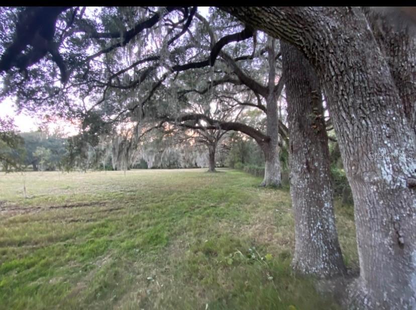 0 N HWY US 27, OCALA, FL — photo 11