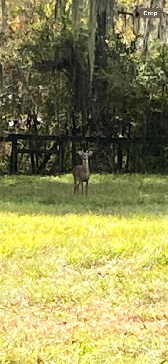 0 N HWY US 27, OCALA, FL — photo 12