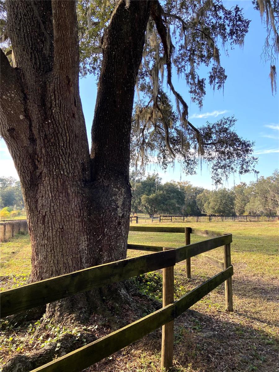 0 N HWY US 27, OCALA, FL — photo 13
