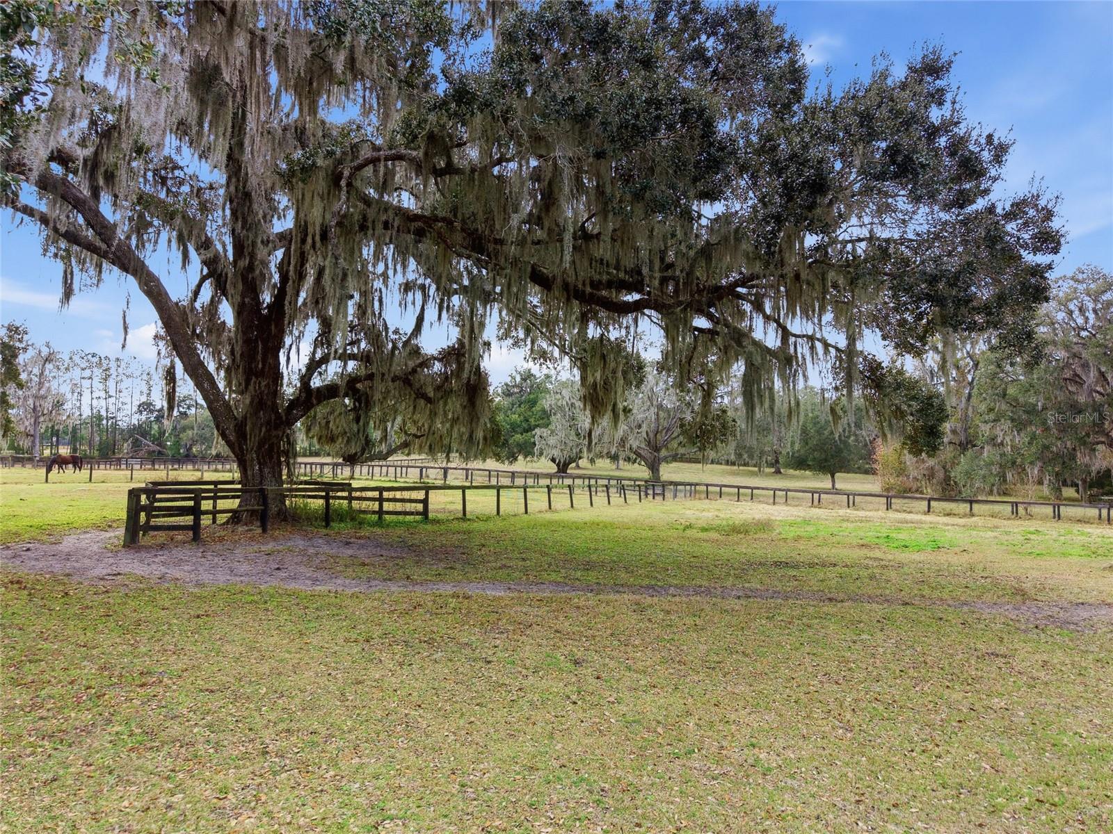 0 N HWY US 27, OCALA, FL — photo 31