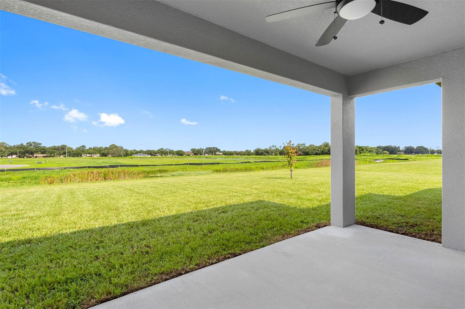 13501 WALDEN SHEFFIELD RD, DOVER, FL — photo 4