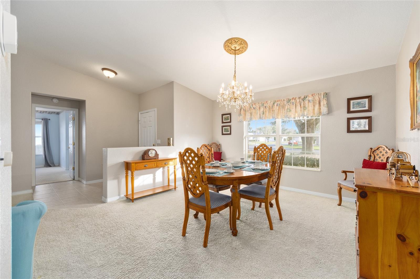 8789 SE 136TH LN, SUMMERFIELD, FL — photo 9