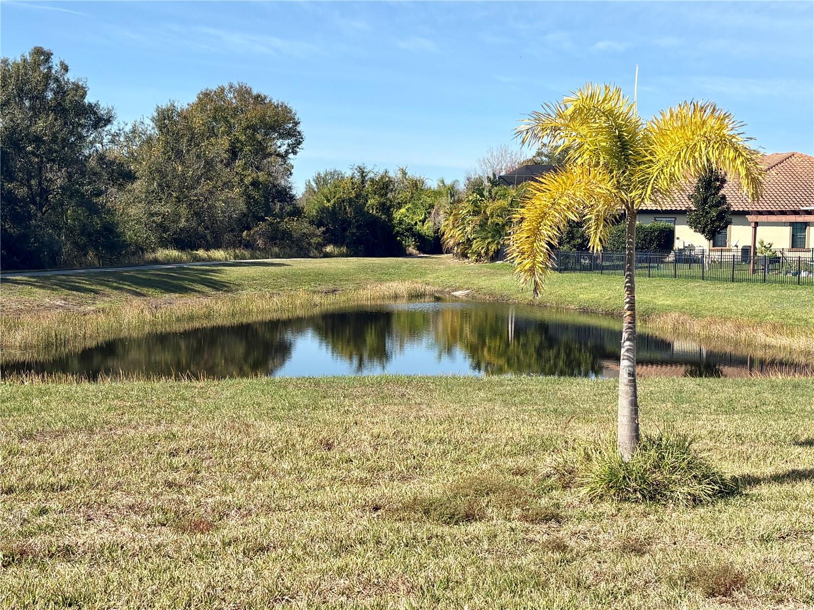 13329 WATERLEAF GARDEN CIR, RIVERVIEW, FL — photo 7