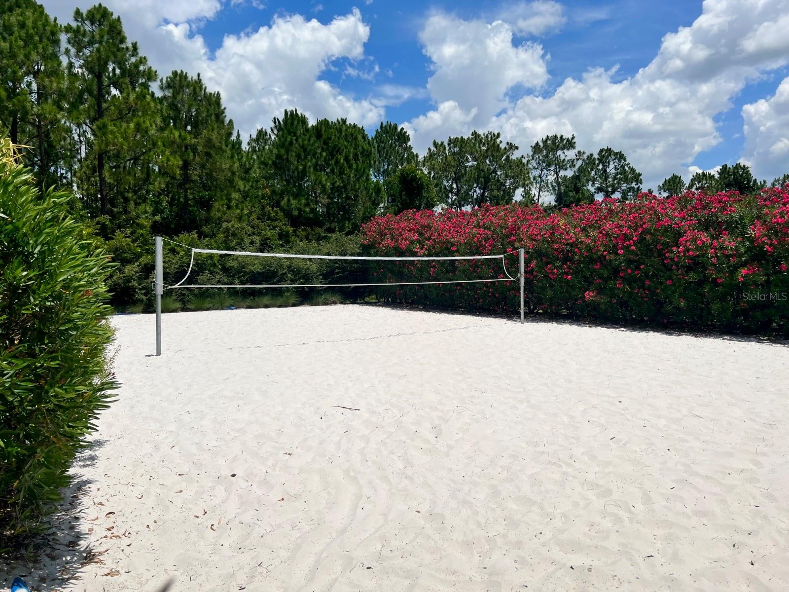 955 CONCH RD, DAVENPORT, FL — photo 40