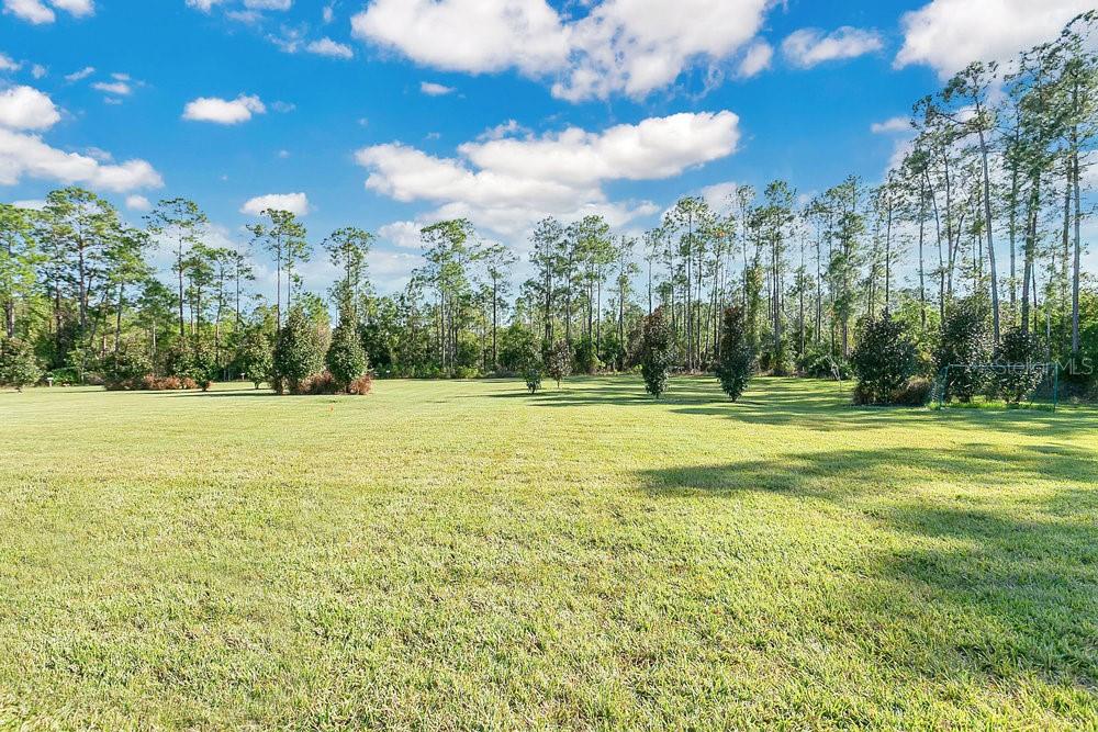 8759 SONOMA COAST DR, WINTER GARDEN, FL — photo 39