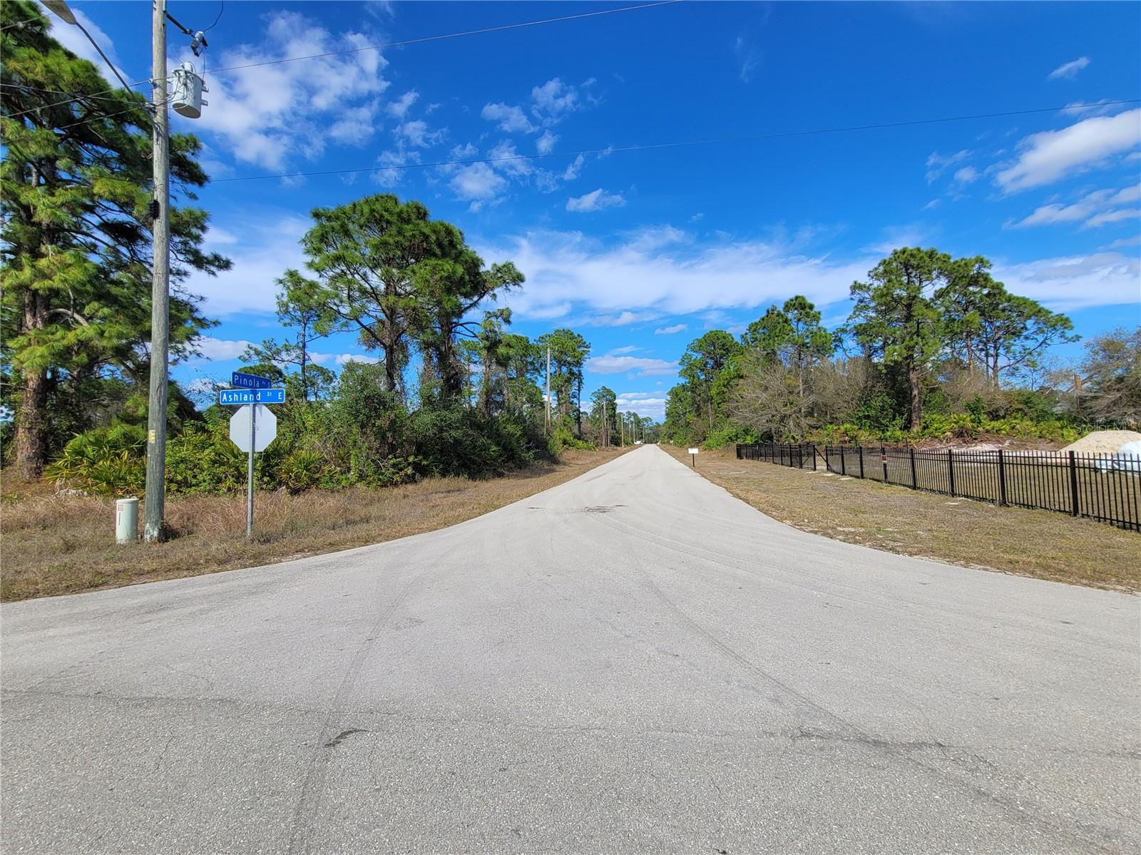 236 PINOLA AVE S, LEHIGH ACRES, FL — photo 4