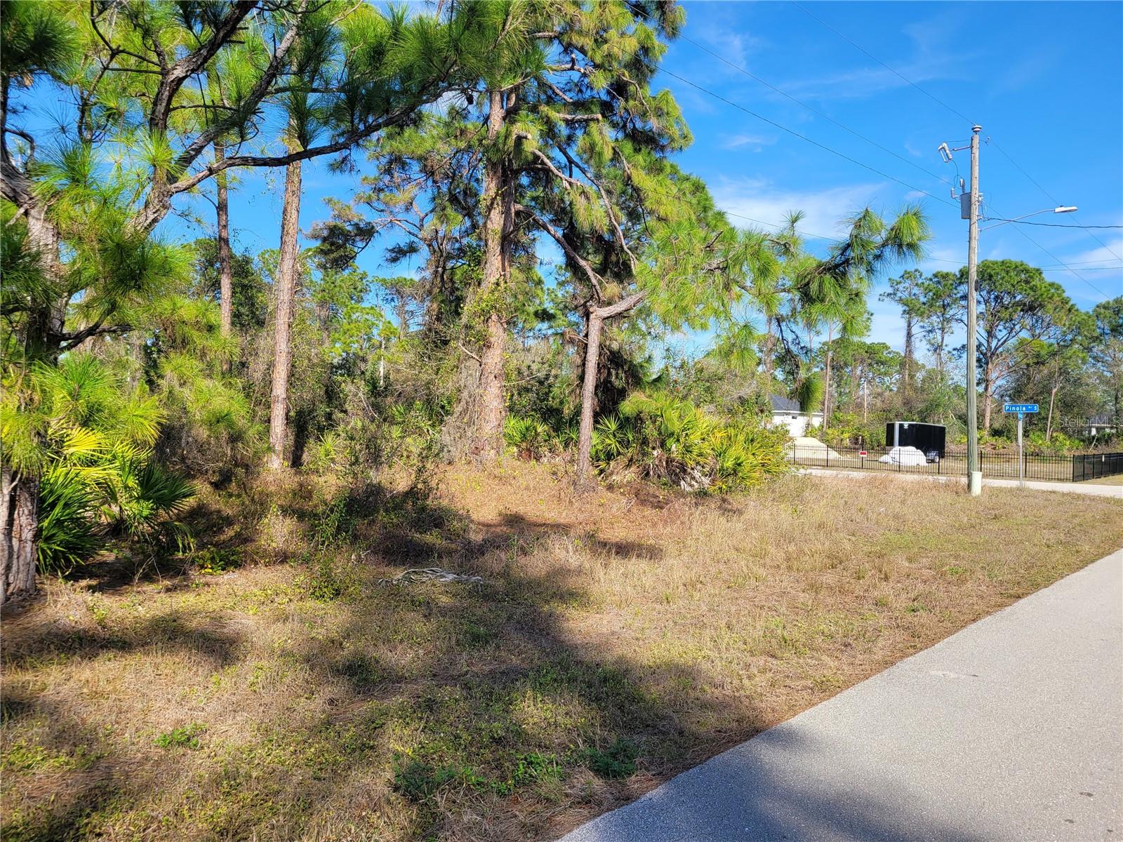 236 PINOLA AVE S, LEHIGH ACRES, FL — photo 2