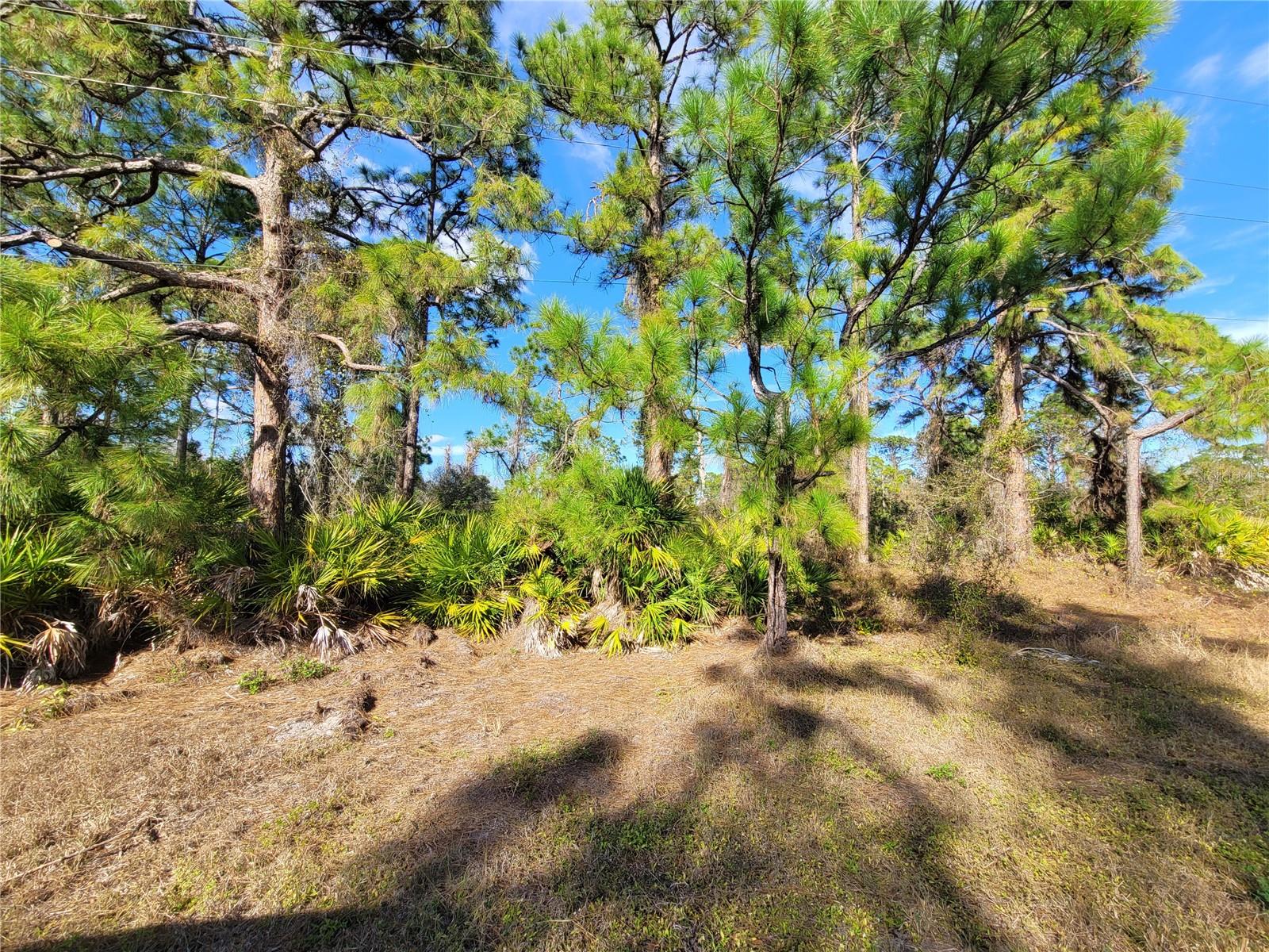 236 PINOLA AVE S, LEHIGH ACRES, FL — photo 7