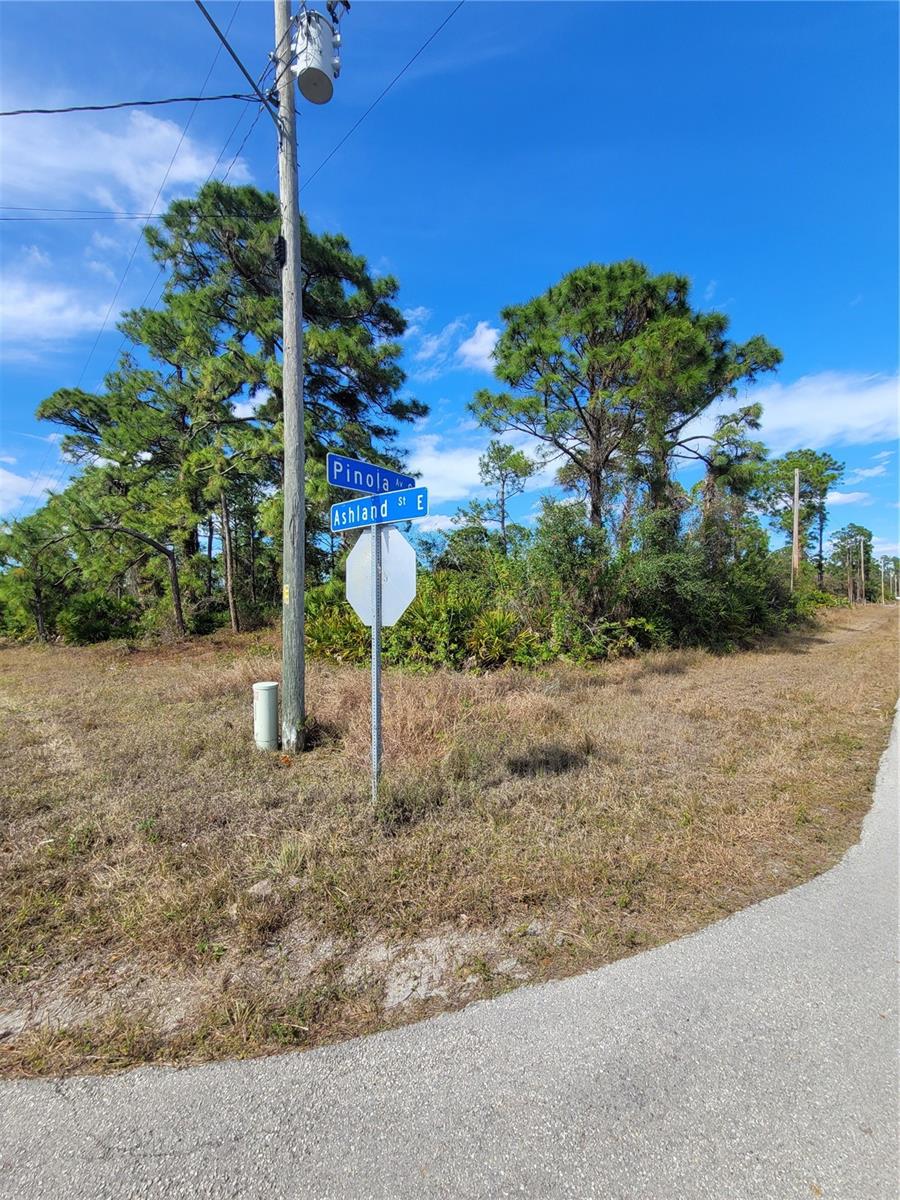 236 PINOLA AVE S, LEHIGH ACRES, FL — photo 5