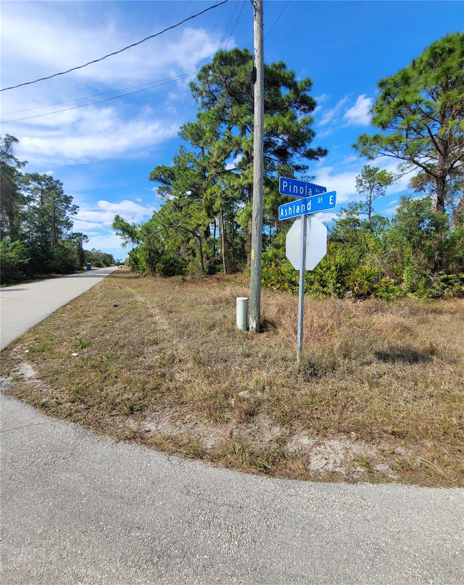 236 PINOLA AVE S, LEHIGH ACRES, FL — photo 6