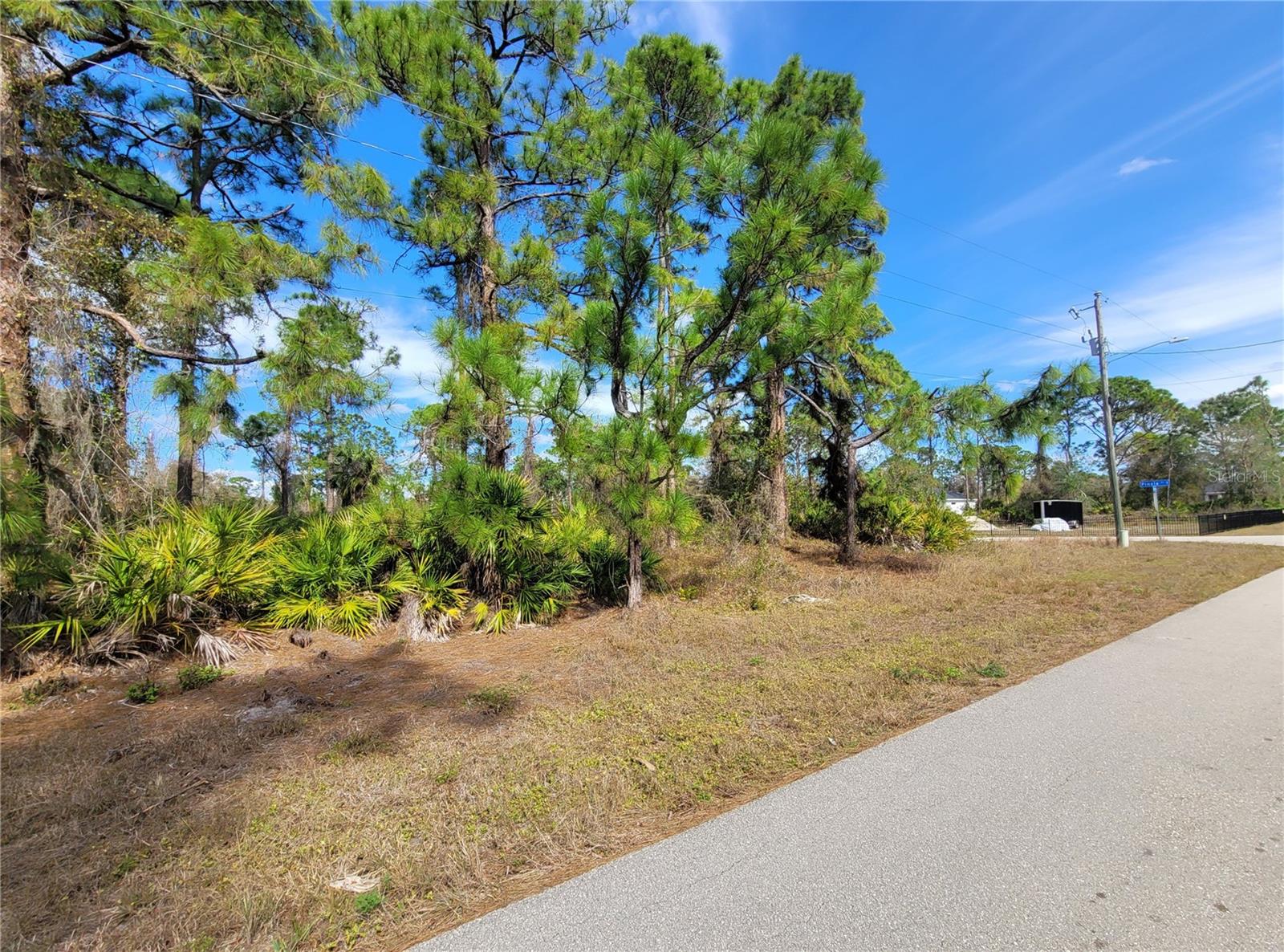 236 PINOLA AVE S, LEHIGH ACRES, FL