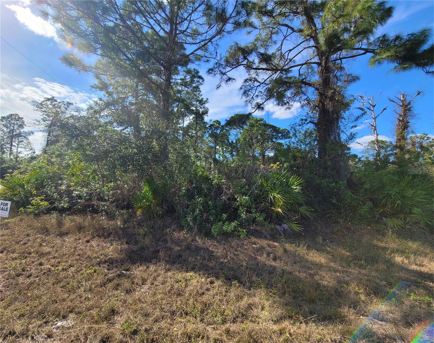 236 PINOLA AVE S, LEHIGH ACRES, FL — photo 8