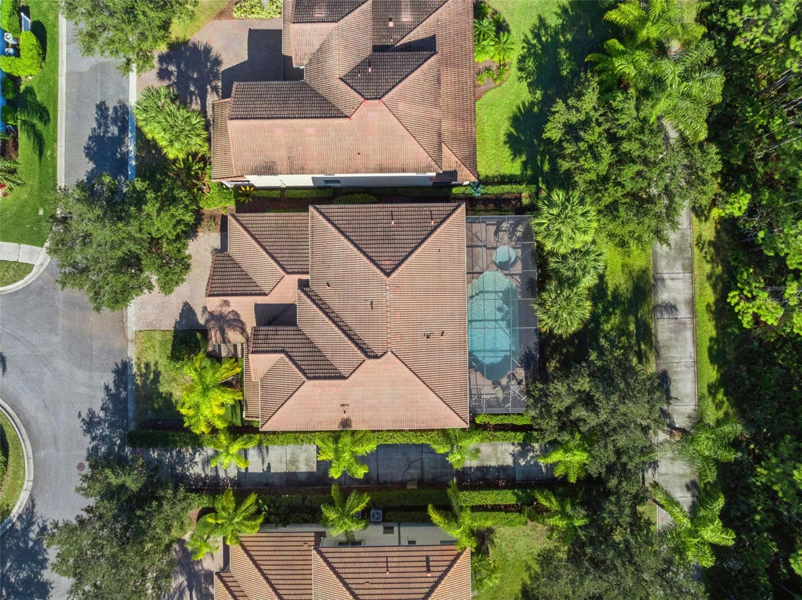 7991 ESTA LN, ORLANDO, FL — photo 8