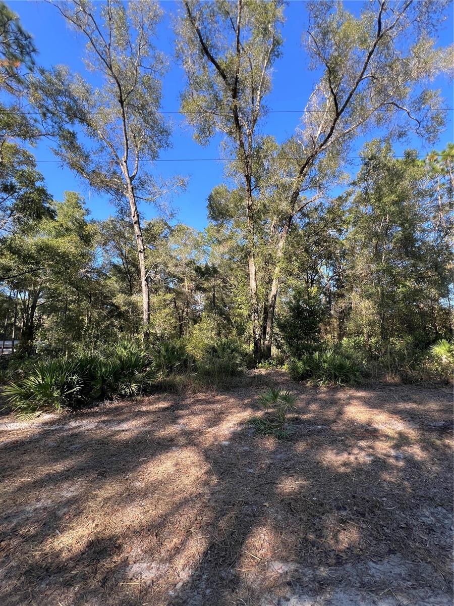 TBD SE 179TH PL, SUMMERFIELD, FL