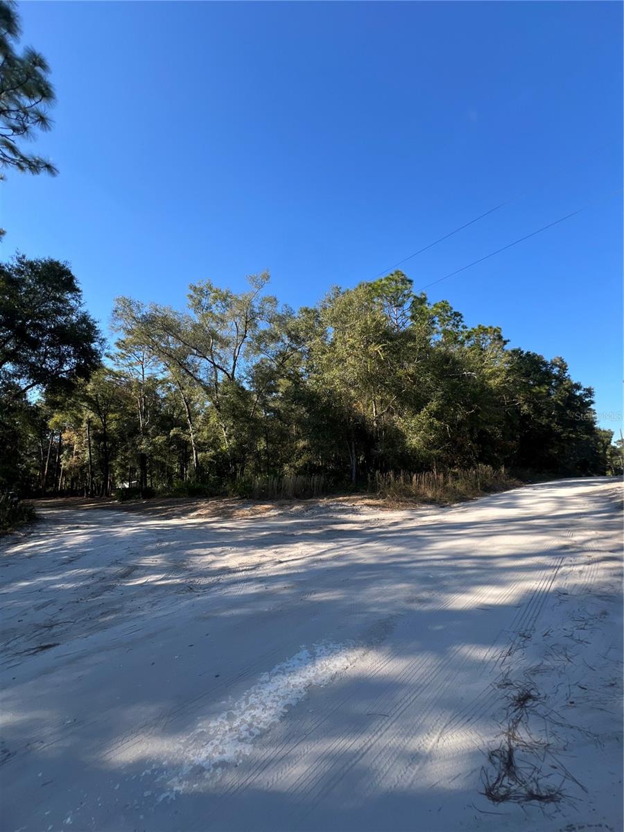 TBD SE 179TH PL, SUMMERFIELD, FL — photo 9